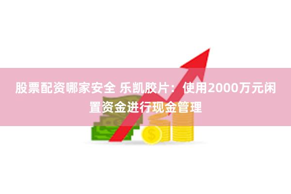 股票配资哪家安全 乐凯胶片：使用2000万元闲置资金进行现金管理