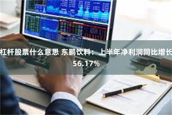 杠杆股票什么意思 东鹏饮料：上半年净利润同比增长56.17%