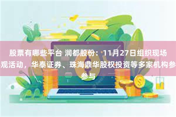 股票有哪些平台 润都股份：11月27日组织现场参观活动，华泰证券、珠海鼎华股权投资等多家机构参与