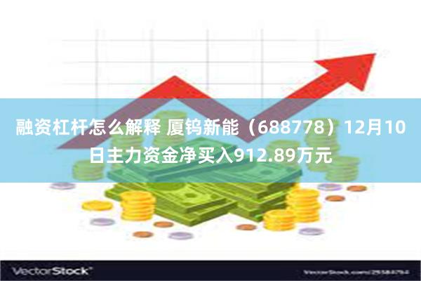融资杠杆怎么解释 厦钨新能（688778）12月10日主力资金净买入912.89万元