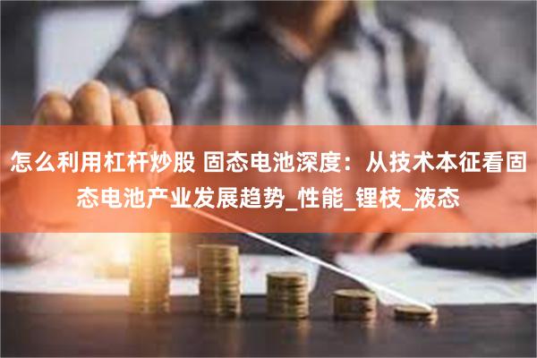 怎么利用杠杆炒股 固态电池深度：从技术本征看固态电池产业发展
