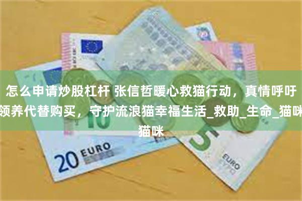 怎么申请炒股杠杆 张信哲暖心救猫行动，真情呼吁领养代替购买，