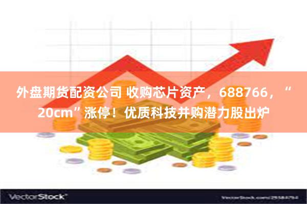 外盘期货配资公司 收购芯片资产，688766，“20cm”涨